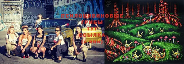 кокаин колумбия Алексин