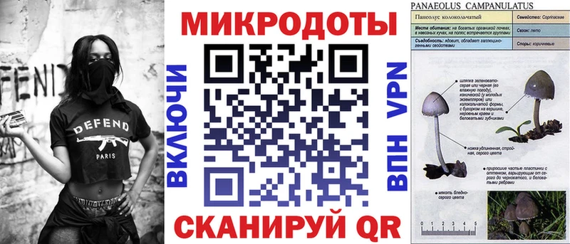 Псилоцибиновые грибы прущие грибы Вышний Волочёк